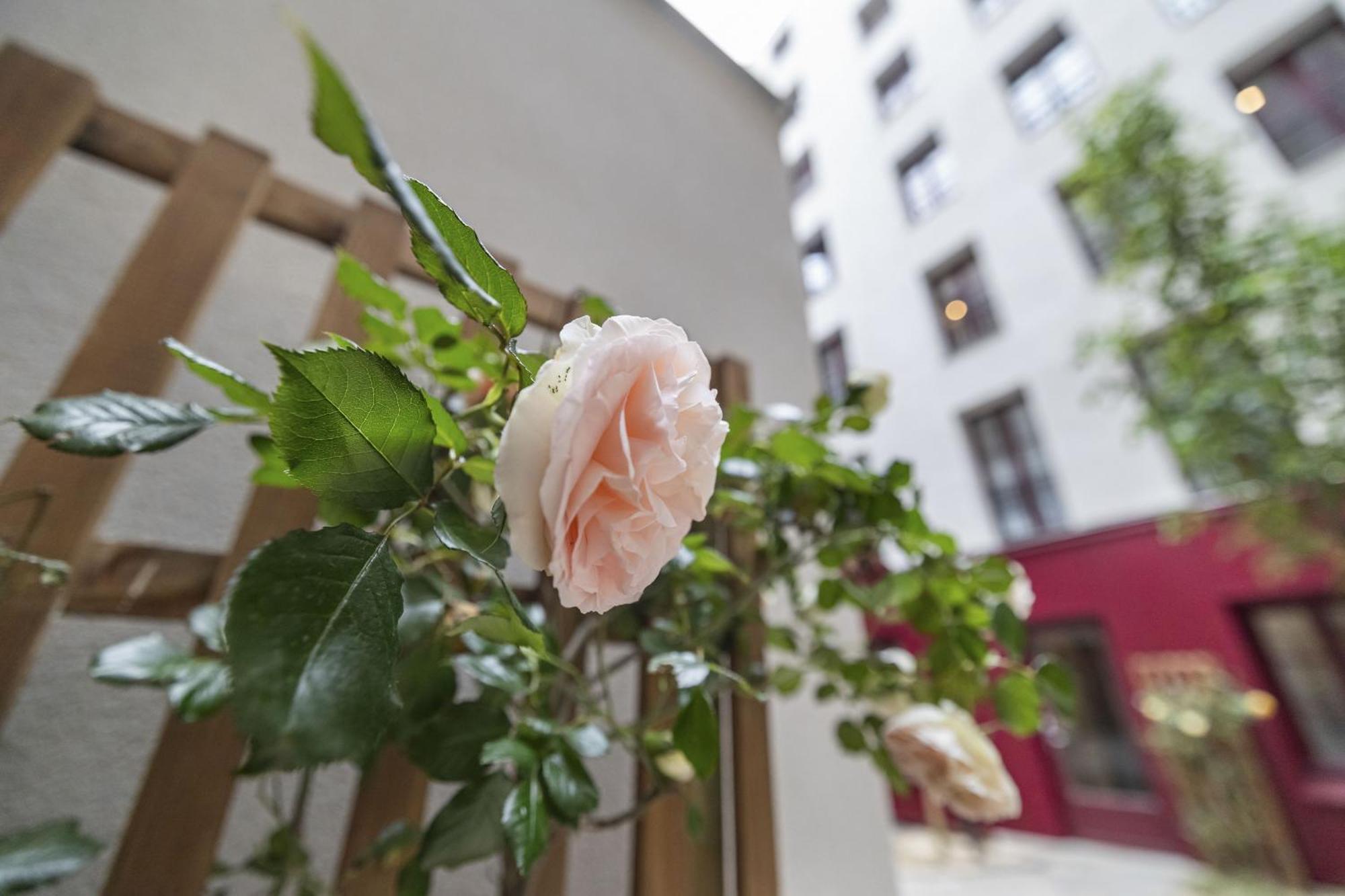 Out Of Africa Apartment Paris Exterior photo